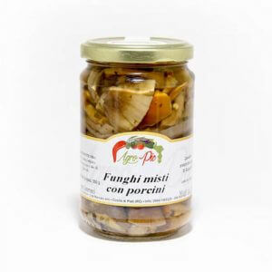 Funghi misti con porcini