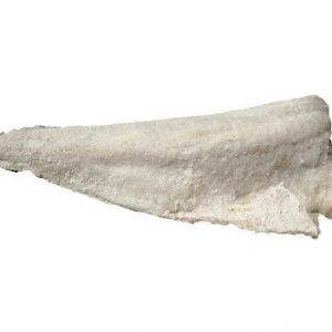 Filetti di brosme