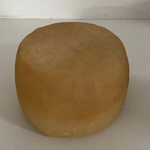 Caprino
